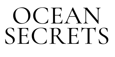 logo_os_noir